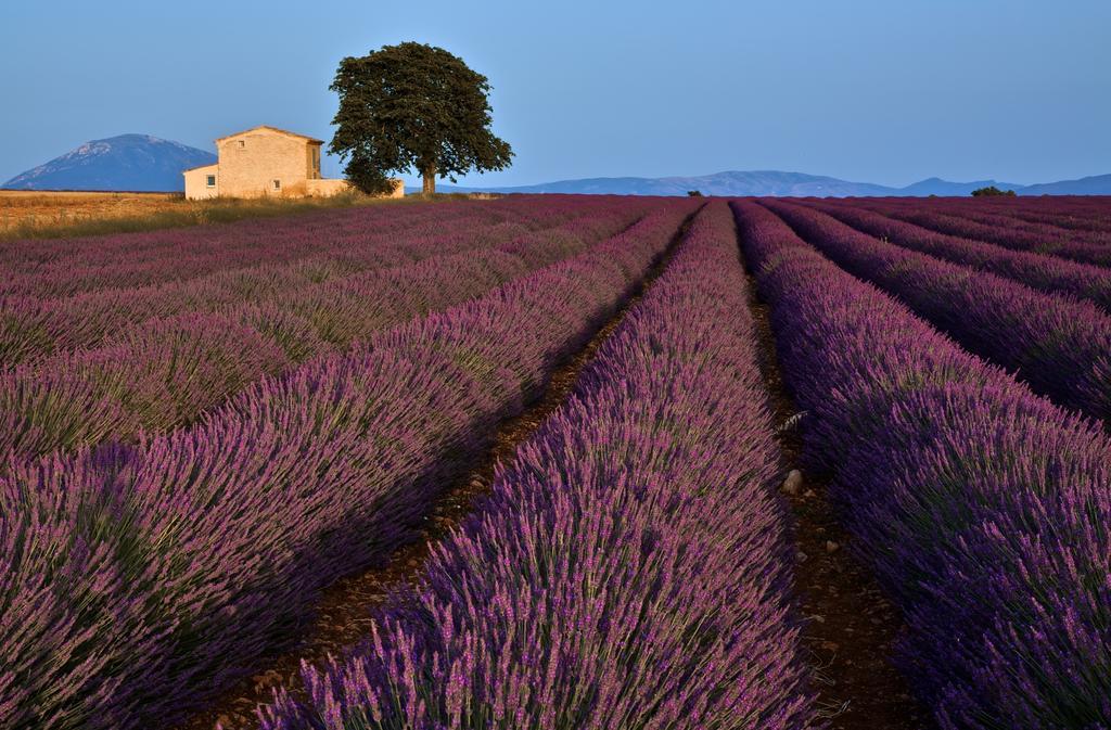 La Maison Des Collines Hotel Allemagne-en-Provence Zewnętrze zdjęcie