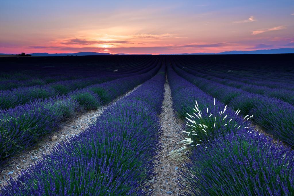 La Maison Des Collines Hotel Allemagne-en-Provence Zewnętrze zdjęcie